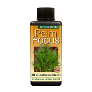 Palm Focus 300ml - Îngrășământ pentru Palmieri