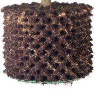 Ghiveci air-pruning Neptune Hydroponics