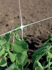 Plasă de susținere pentru plante 