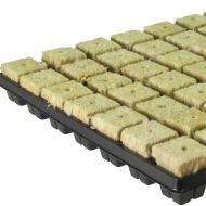Tavă germinare cu vată minerală