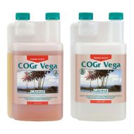 CANNA COGr Vega A+B
