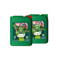 Dutchpro Soil Bloom A+B (Apă dură)
