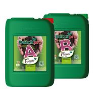 Dutchpro Soil Grow A+B (Apă Dură)