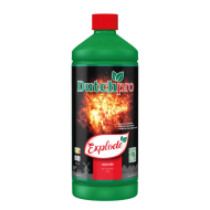 Dutchpro - Explode