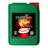 Dutchpro - Explode