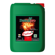 Dutchpro - Explode