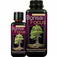 Bonsai Focus - Fertilizant pentru Bonsai