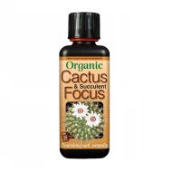 Cactus Focus - Îngrășământ pentru Cactus și Suculente