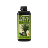 Olive Focus - Îngrășământ pentru Măslini