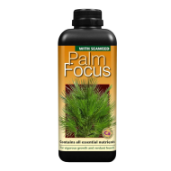 Palm Focus - Îngrășământ pentru Palmieri