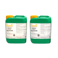 Ferro OSMOSIS COCO BLOOM A&B - faza de înflorire