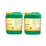 Ferro BLOOM A + B - faza de înflorire
