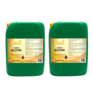 Ferro COCO BLOOM A&B - faza de înflorire