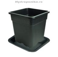 Set farfurie + ghiveci pătrat Vega